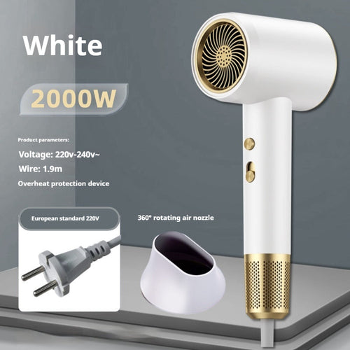 Compact Blow Dryer Salon Grade Ionic Styling Tool Fast Drying High
