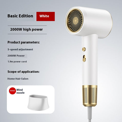 Compact Blow Dryer Salon Grade Ionic Styling Tool Fast Drying High